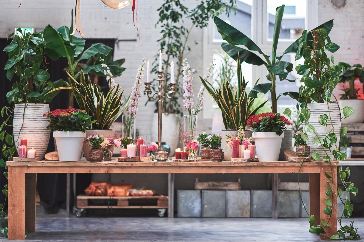 kitchen pots for herbs garden indoor