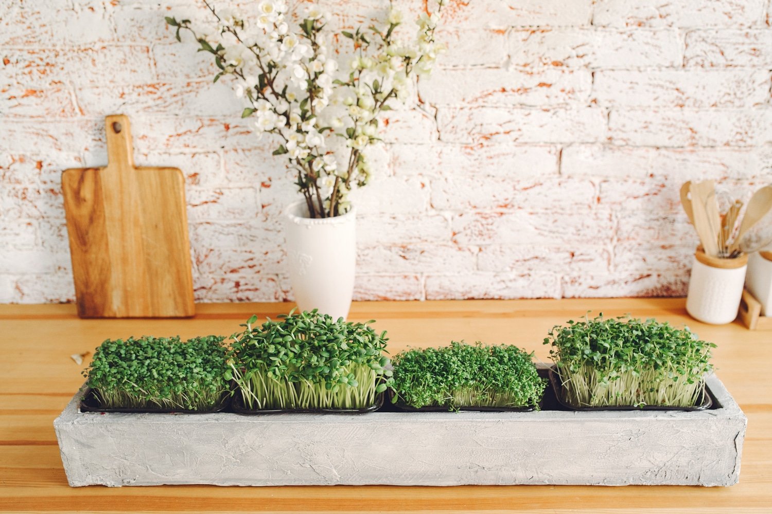 herbs in kitchen